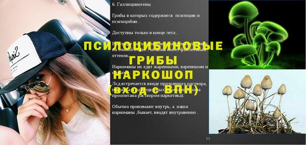 прущие грибы Белокуриха