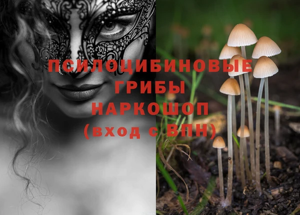 мяу мяу кристалл Богданович